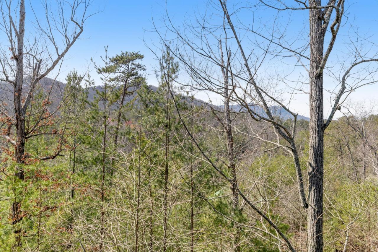 Papaw'S Bear Den Villa Pigeon Forge Luaran gambar