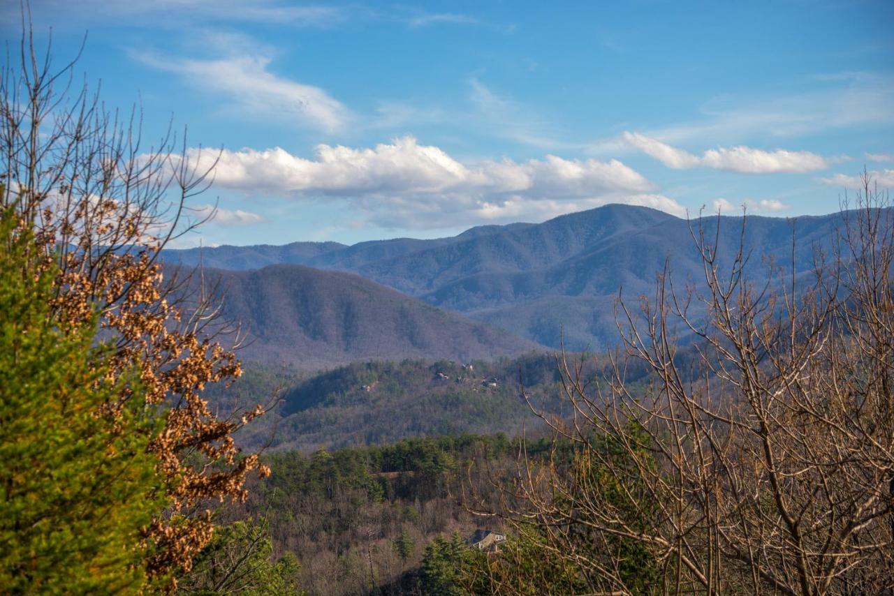 Papaw'S Bear Den Villa Pigeon Forge Luaran gambar