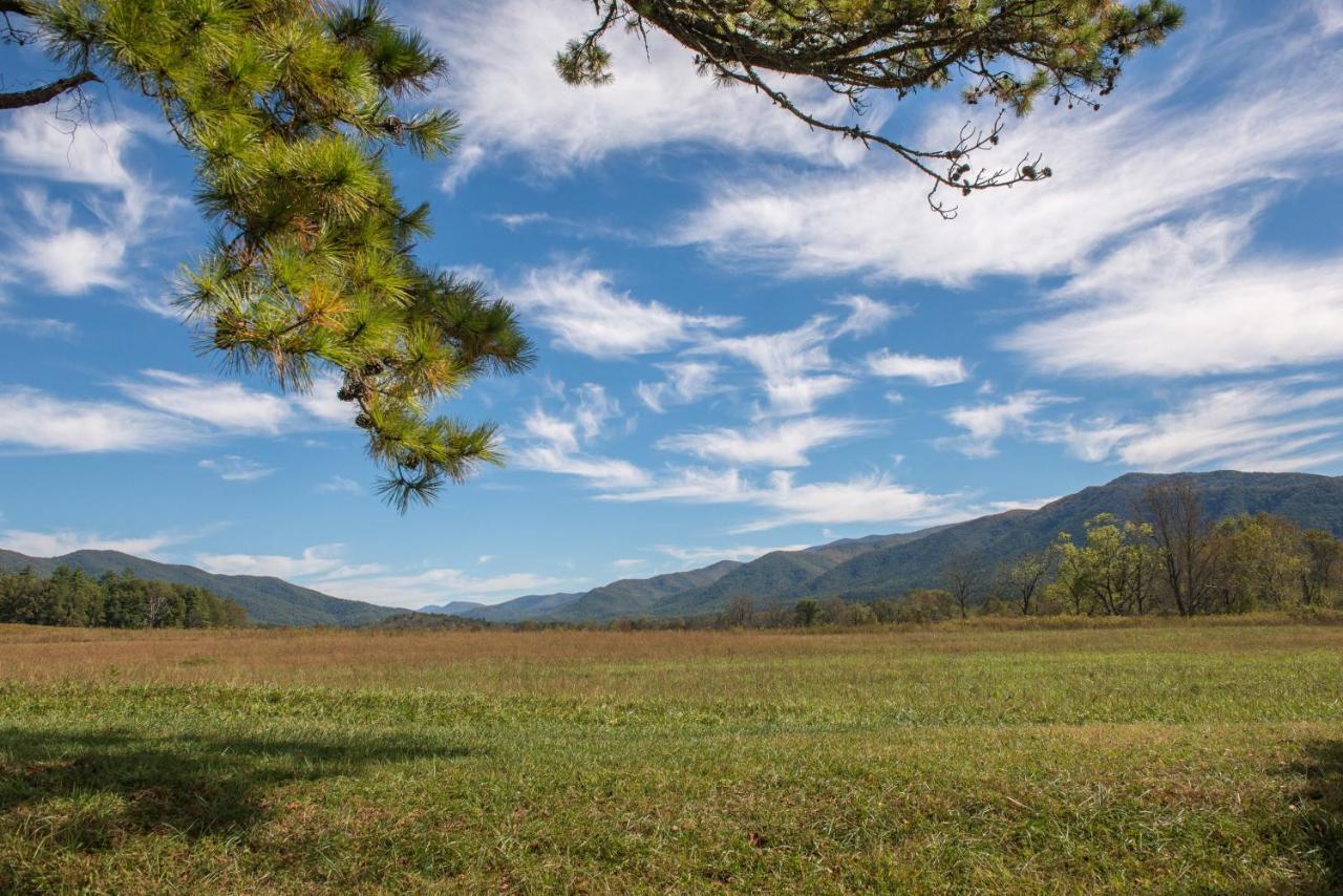 Papaw'S Bear Den Villa Pigeon Forge Luaran gambar